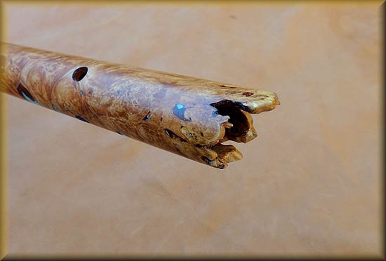 burl-buffalo-inlay-flute-0008.jpg (22315 bytes)