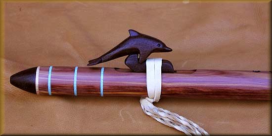 cedarinldolphin4.jpg (22141 bytes)