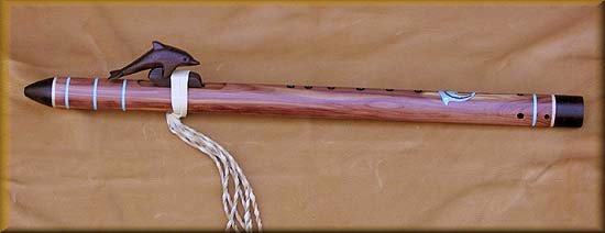 cedarinldolphin5.jpg (15929 bytes)