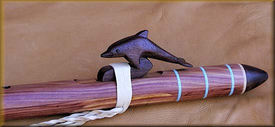 cedarinldolphin8.jpg (26541 bytes)