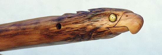 hawk3.jpg (20019 bytes)