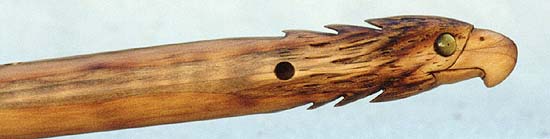 hawk4.jpg (18448 bytes)