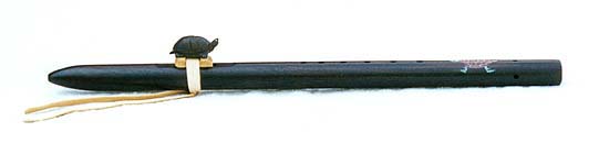 turtle1.jpg (10069 bytes)