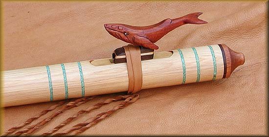 whalepacificnw16a.jpg (35592 bytes)